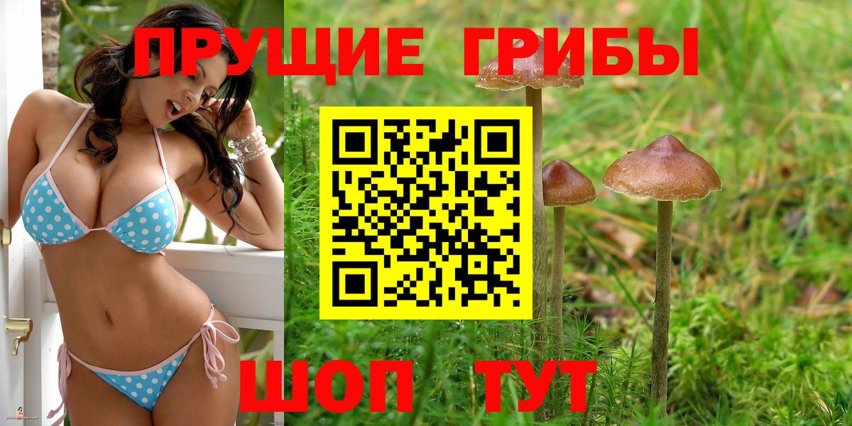 Тула  Галлюциногенные грибы ЛСД  Вход с VPN 
